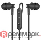 gal_bh_2010_big_00_00015113