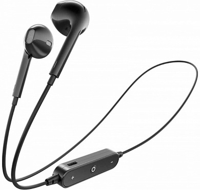 gal_bh_2001_big_00_00015104