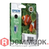 C13T02640110-800x800